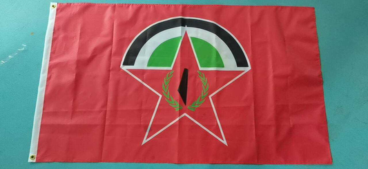 Buy Flag of the Democratic Front for the Liberation of Palestine | 150x90cm | 3x5ft | الجبهة الديموقراطية لتحرير فلسطين