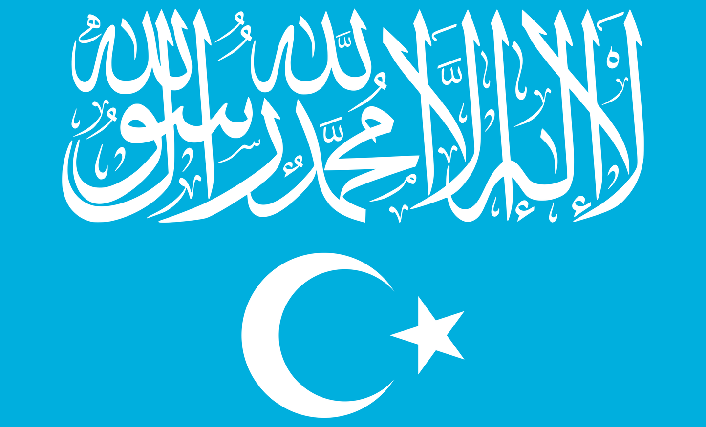 Buy Kökbayraq ISLAM FLAG | 90x150cm | 3x5ft | Uyghur Flag | Uyghur | Turkestan Flag | Turkistan Islamic Party