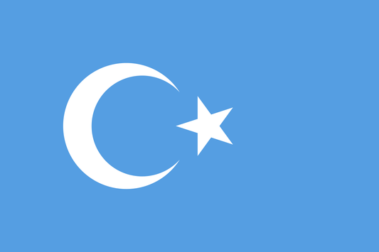 Buy Kökbayraq FLAG | 90x150cm | 3x5ft | Uyghur Flag | Uyghur | Turkestan Flag